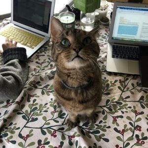 Meet your Posher, Ariadne